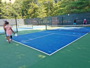 Image result for pickleball courts owen brown